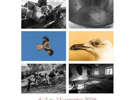 Photographies - Martine Baud, Alain Benoit A La Guillaume, Yves…