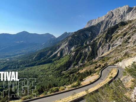 Festival de l'Alpage : À la découverte des plantes du Col du Noyer