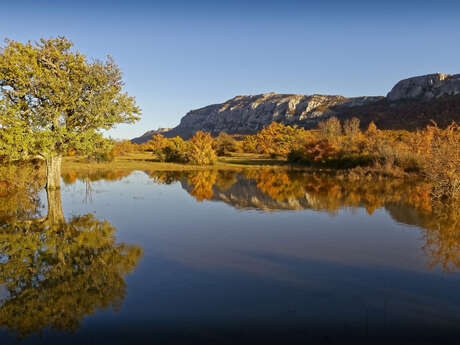 #RDVduParc • La trajectoire de l'eau en Sainte-Baume