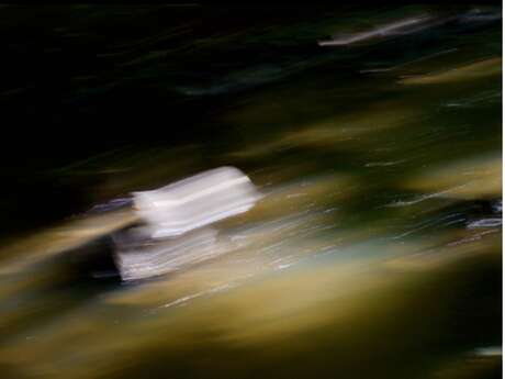 Exposition Photographique "Raisonance" de Françoise Gwinner Legrand
