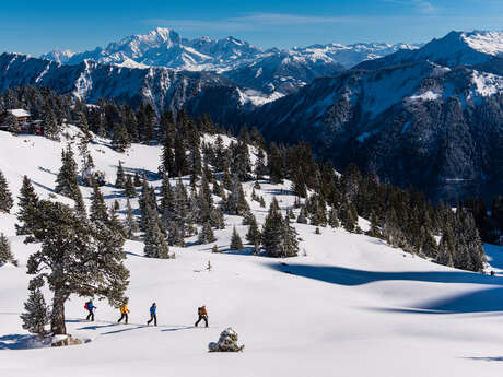 ski de randonnée : itinéraire de montée