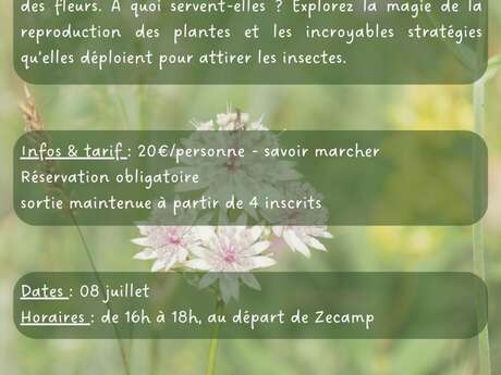 Histoire de fleurs - Sortie nature Zecamp