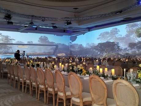 Salle Alain Delon Palm Beach