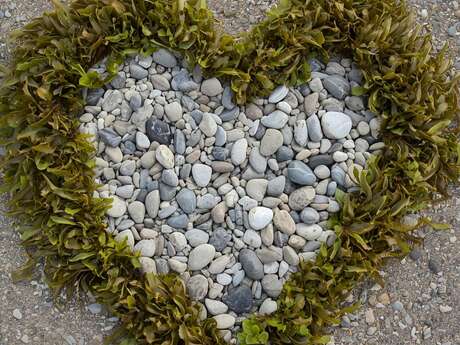 Pichoun'ventures d'automne :  Land Art Workshop