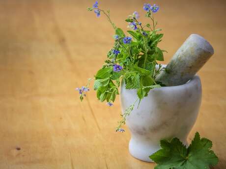 Stage "Soins au verger, soigner les arbres par les plantes "