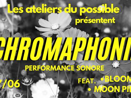 Performance sonore "Chromaphonie" aux Musées des Beaux-Arts