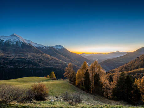 Sortie découverte au Forest des Marches