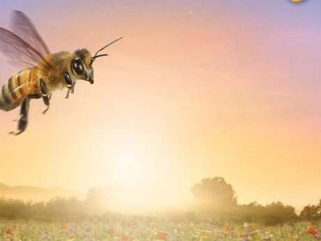 Soirée ciné nature "Etre avec les abeilles"