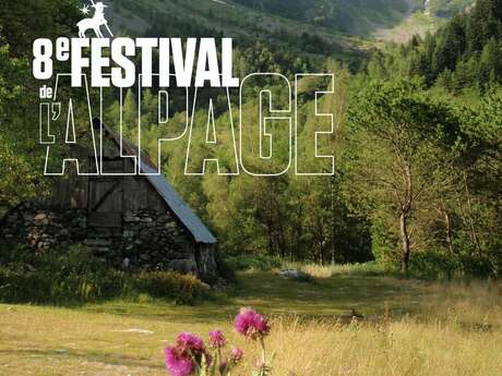 Festival de l'Alpage : Sortie ethnobotanique à la découverte des plantes médicinales du Valgaudemar