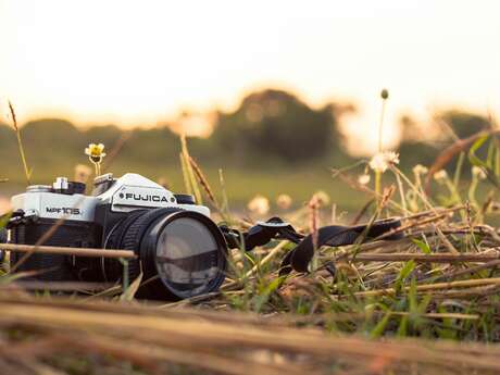 Concours photo