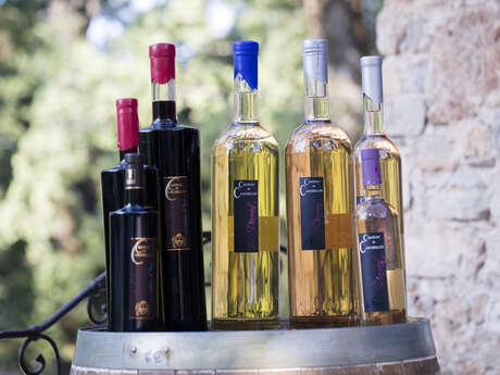 Château de Cancerilles