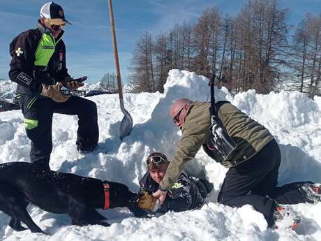 Découverte du secours en montagne avec un chien d'avalanche