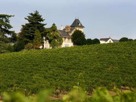 Château Domaine de la Soucherie