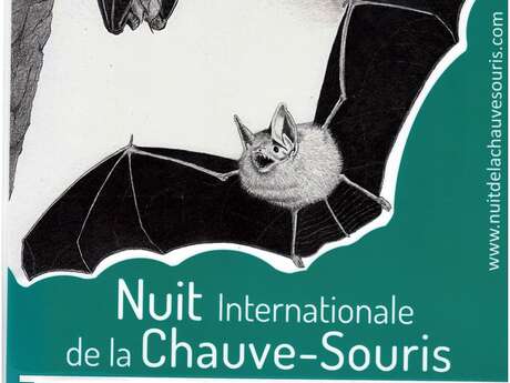 Nuit internationale de la chauve-souris REPORTE LE 11 SEPTEMBRE
