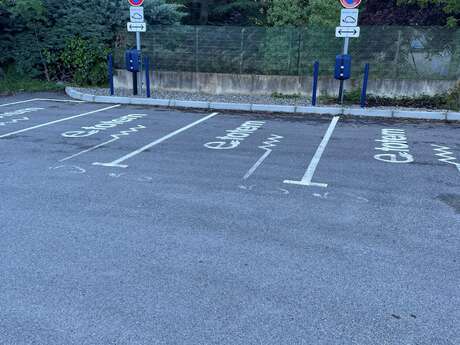 Borne de recharge pour véhicules électriques