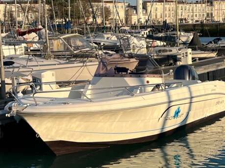 Escale à La Rochelle (6h) La Flotte - TEX'