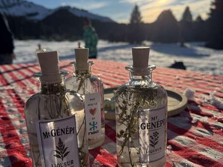 Atelier découverte et création de génépi