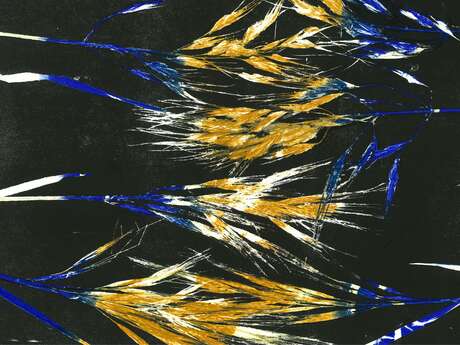 Exposition : Lignes, tiges et dessins d'herbes - Diane Etienne