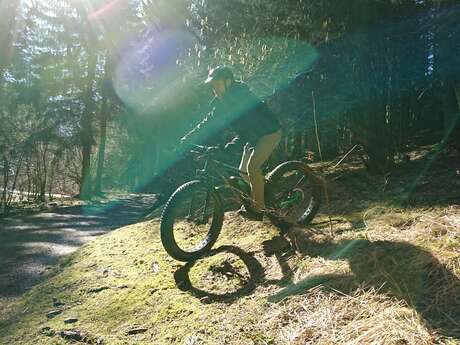 Piste de descente VTT - Dré dans l'Pentu