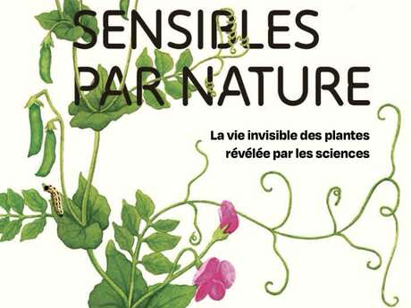 Rencontre dédicace autour du livre Sensibles par nature