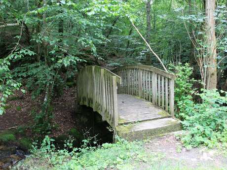 Sentier des bords de Coise - Saint Denis sur Coise