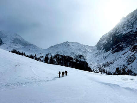 Dam-nature04 - Winter survival discovery day