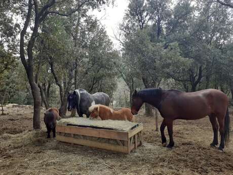 Centre équestre de la Sainte Baume