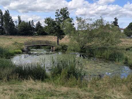 La biodiversité en ville expliquée - Journées Européennes du Patrimoine