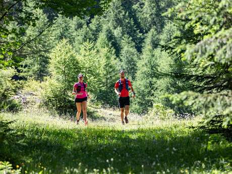 Le belvédère du Colombier