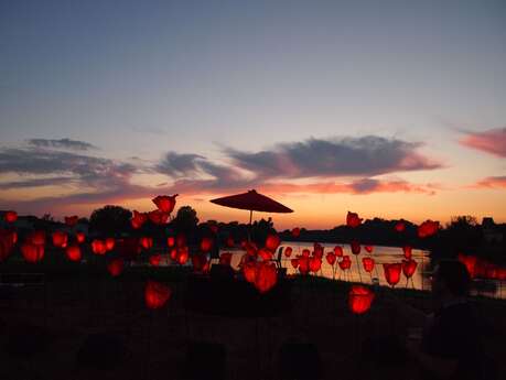 Le chant des coquelicots - FREDANDCO