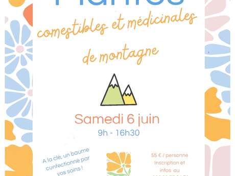 Randonnée : plantes culinaires et comestibles