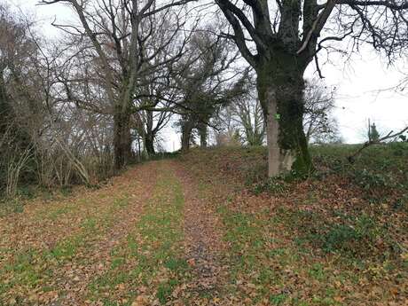 Sur les chemins de St Didier d'Aussiat (Version courte)