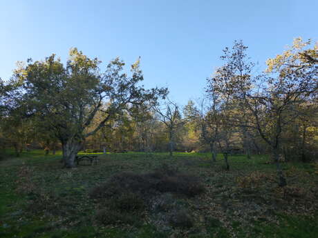 Picnic area of Bazin