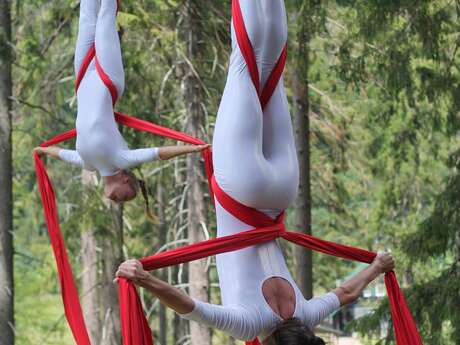 Tissu aérien Adultes