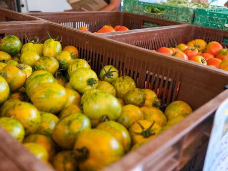Bauernmarkt in den Allées de l'Oulle
