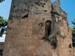 The Ecorchoir Tower