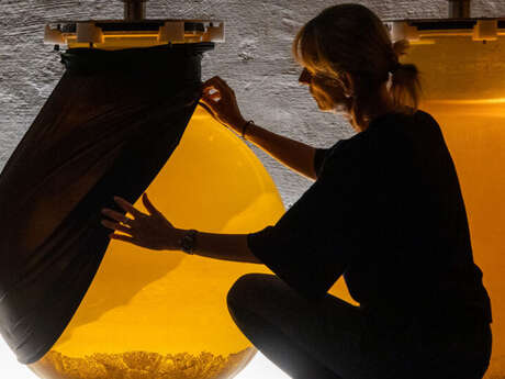 L'Âme du Vin : Visite et dégustation au Domaine de Montvac