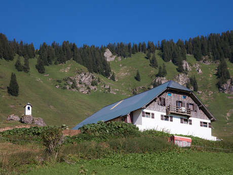Goûter à l'alpage de Barbossine