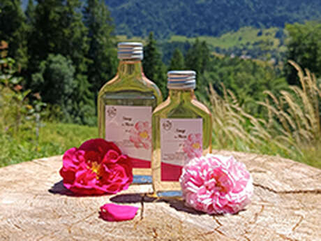 Atelier sirop de plantes