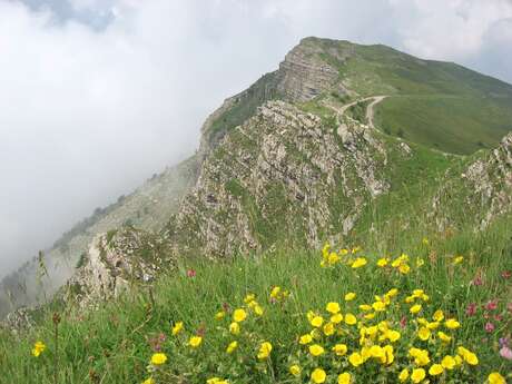 Massif et Pointe Marguareïs