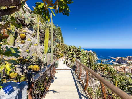 Jardin Exotique de Monaco and Grotte de l'Observatoire
