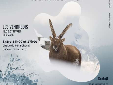 Scoprire e osservare la fauna selvatica in inverno.