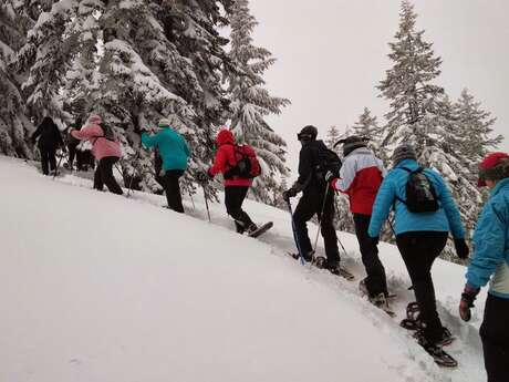 Team building - sneeuwschoenwandelen
