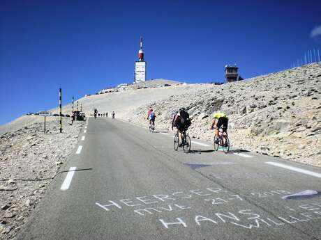 Cycling: Ascent of Mont-Ventoux from Sault