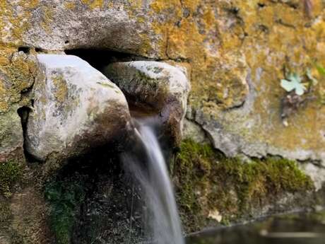 La fête de l'eau !