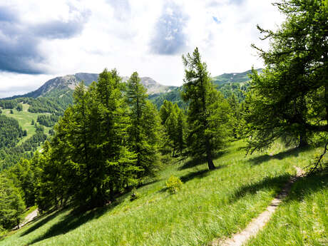 Découverte et sensibilisation au milieu naturel montagnard