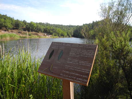 Sentier botanique du lac du Rioutard