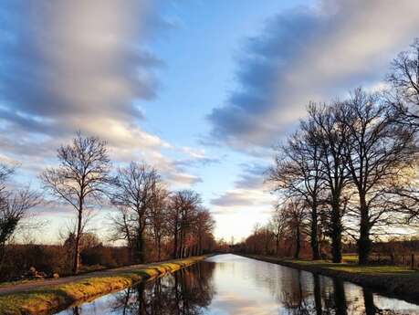 La Chouette Photographe