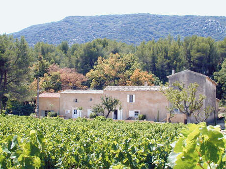 Domaine Faverot