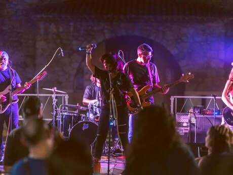 Alice and the Wondermen - Festival Improbable